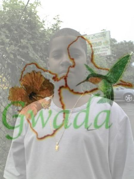 bin la c mon franguin